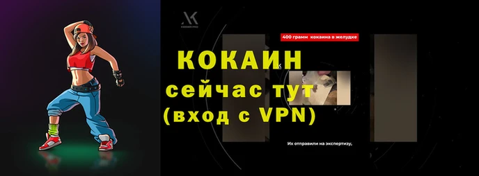 стаф Верея