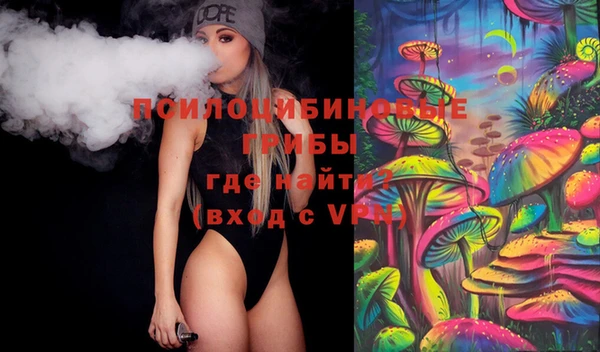 стаф Верея