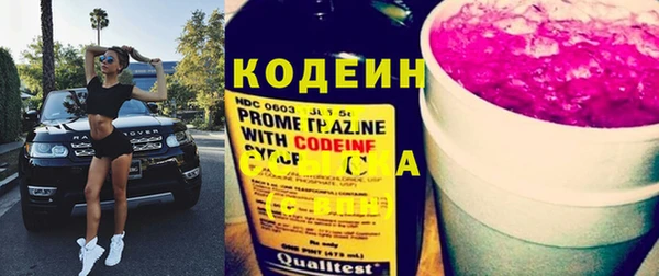 стаф Верея