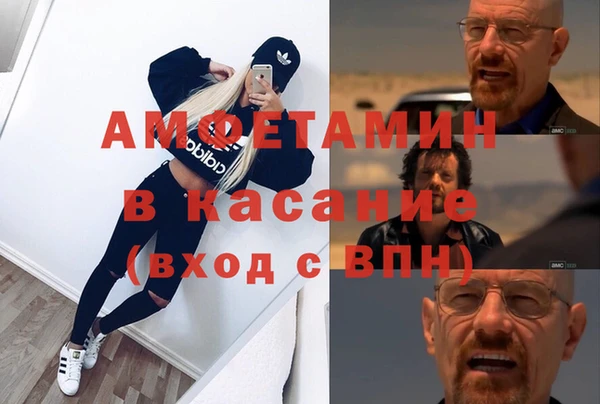 стаф Верея