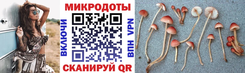 Псилоцибиновые грибы Psilocybine cubensis  hydra сайт  Камышлов  закладки 